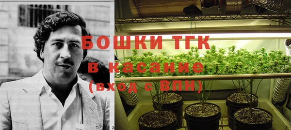 мет Протвино