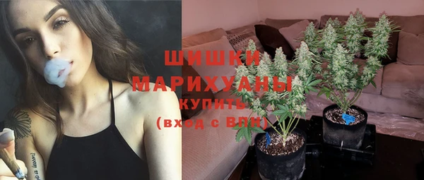 мет Протвино