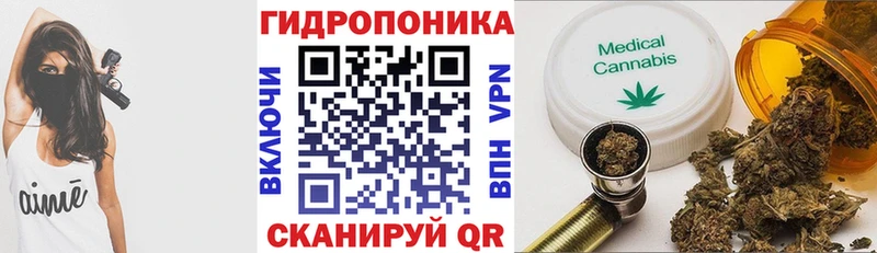 Купить где  Купино  Бошки Шишки ГИДРОПОН 